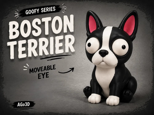 Boston terrier - boston,