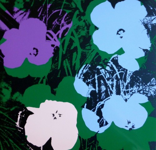 Andy warhol - (poppy, flower)