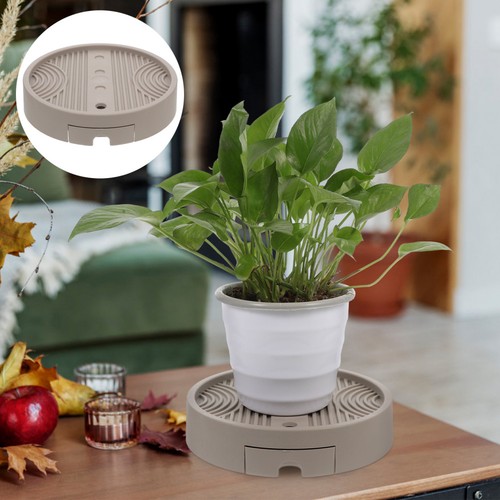 Hydroponic tray plants stand - ,