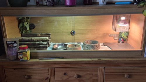 Vivarium full set with - vivarium, up