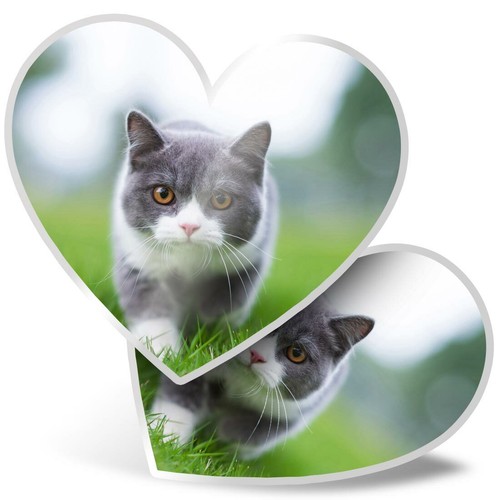 Heart stickers cm - 2,