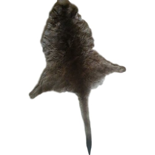Kangaroo skin rug king size - rug,
