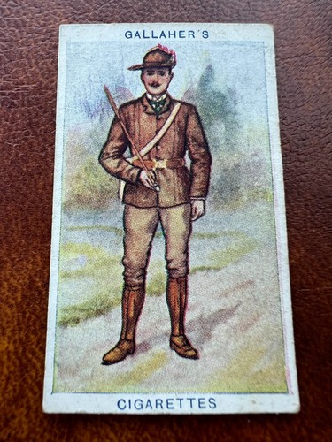 Gallaher cigarette card boy - gallaher,