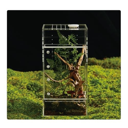 Acrylic terrarium for reptiles - acrylic,