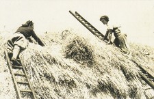 THATCHING 1940 - Nostalgia