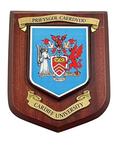 Cardiff university wall - university, plaque