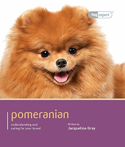 Pomeranian trudie - (dog, expert)-trudie