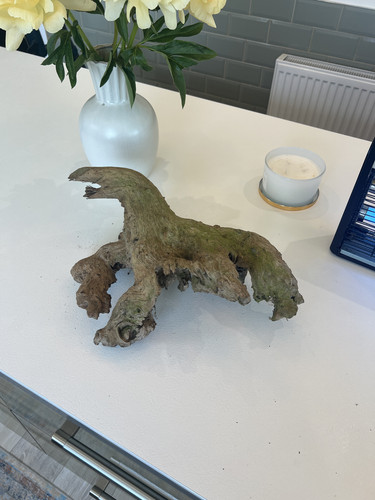 Large aquarium driftwood - aquarium,