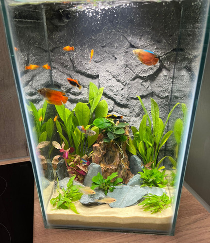 Aquarium stone rock natural - aquarium,