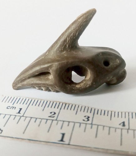 Fantasy dinosaur skull fossil - skull,