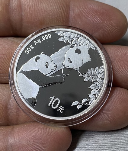 2023 china panda - china,