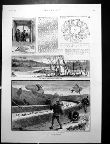 Antique print japanese - print,
