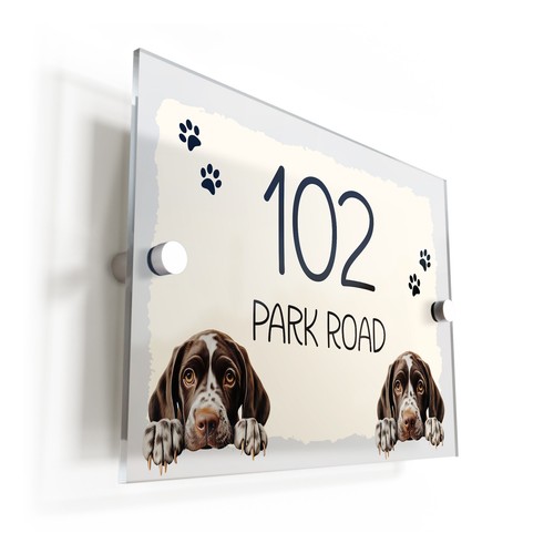 German shorthaired pointer dog - german,