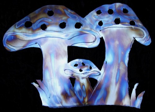 Mushrooms toad stool fungi - stool,