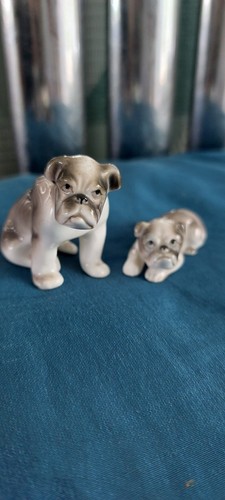Miniature boxer dog mum - dog,