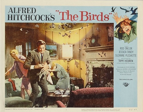 Vintage the birds 1963 - vintage,