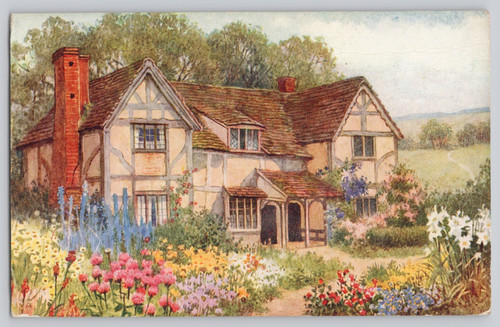Salmon series cottage garden - cottage,