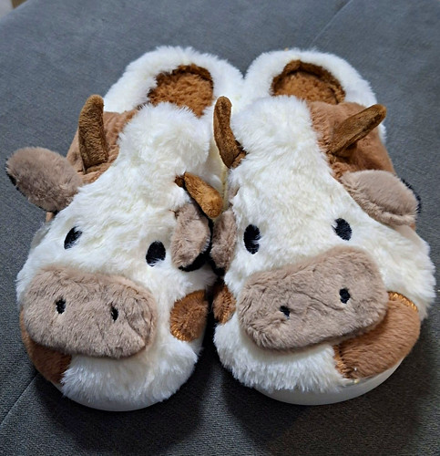 Women cow animal print - cow,