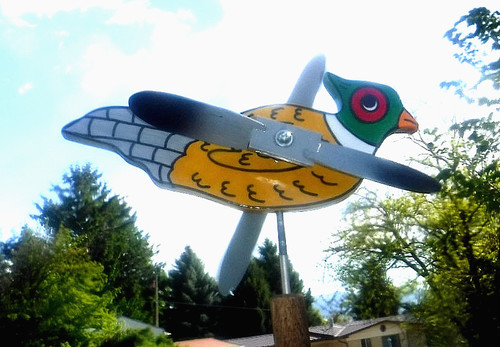 Whirly birdy wind - whirly,