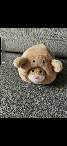 Zhu pets - pets, interactive