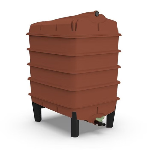 Tiger wormery tray worm - tiger,