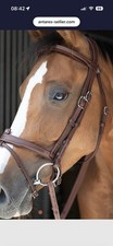 Antares Brown Cob Size Flash