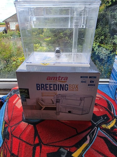 Breeder box hang - breeder, on