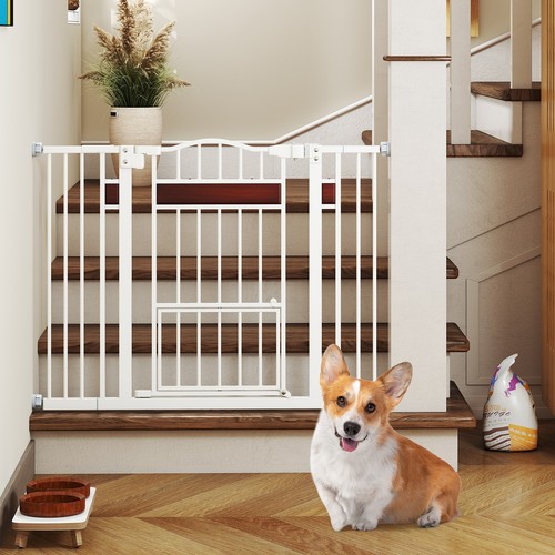 78cm tall metal expandable - metal, dog