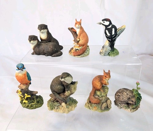 Border fine arts - border,