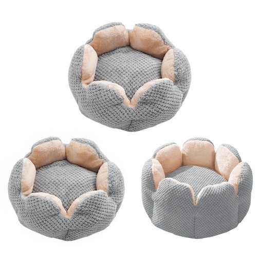 Pet dog cat - pet, round