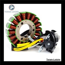Stator for Sea-Doo Challenger