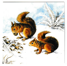 FRANCES FRY RED SQUIRRELS AND