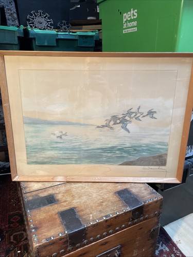 Flying ducks large lithograph - flying,