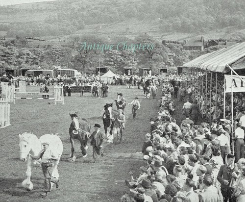 Wharfedale agricultural - wharfedale,