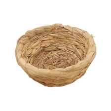 Pigeon Breeding Nest Bird