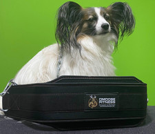 DMoose Fitness Dip belt with Chain for WeightLifting, Pullups  & squat(Old Logo)