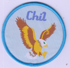 Boy Scout Badge Cub Leader