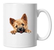 Peeking Peeping Norwich