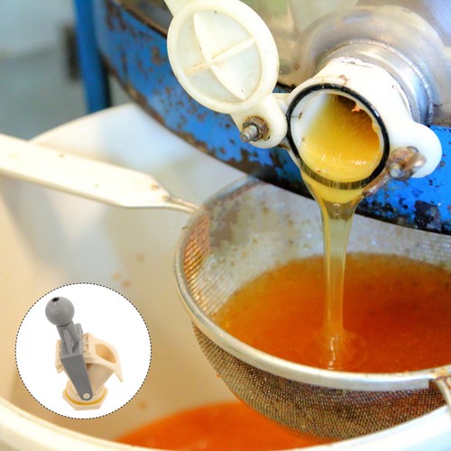 Bee hive honey - bee,