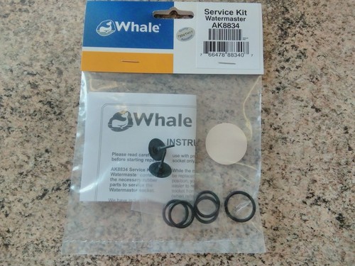 Whale caravan motorhome - whale, caravan/motorhome