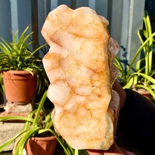 7.8LB New find white Phantom Quartz Crystal Cluster mineral samples