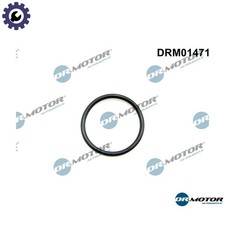 GASKET EGR VALVE PIPE DRM01471 FOR FORD FUSION FIESTA/Van FOCUS/II/Turnier 1.4L