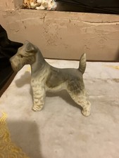 Unbranded Airedale Terrier Dog