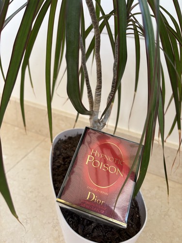 Dior hypnotic poison 100ml - dior, eau