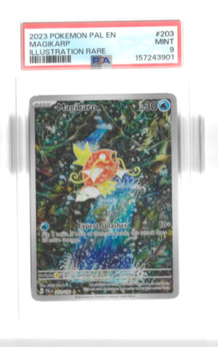 Magikarp 203 193 sv02 paldea - magikarp, sv02: