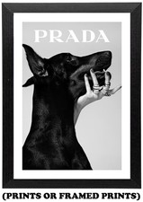 Doberman Dog Fashion B&W Photo (A5 A4 A3 Picture Print / Framed Poster) #025
