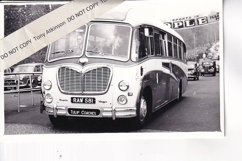 Tulip coaches bedford - tulip,