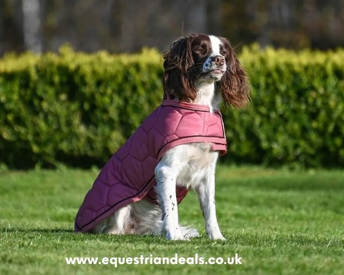 Qhp dog coat - coat, warm