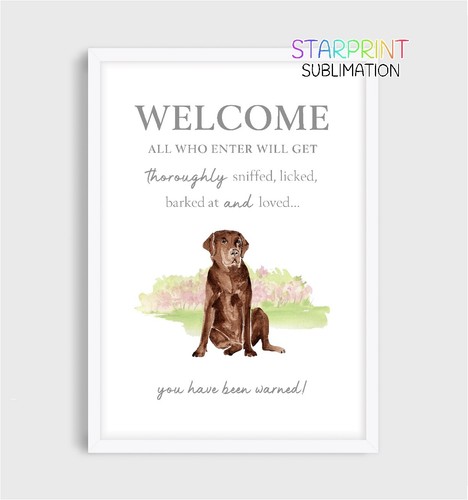 Labrador unframed - labrador, (chocolate)