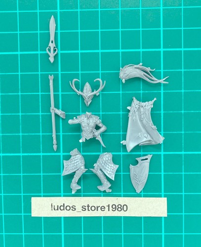 Wild rider warhammer the - wild, old